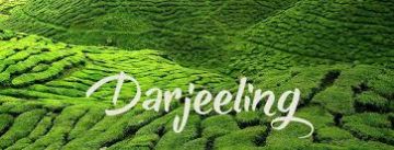 Pleasurable 6 Days Ixb Njp Railway Station to Darjeeling Trip Package