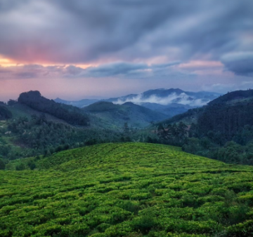 Heart-warming 5 Days 4 Nights Bangalore, Coonoor, Coorg and Ooty Trip Package
