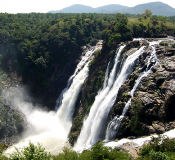 Family Getaway 3 Days 2 Nights bangalore, ooty and wayanad Tour Package