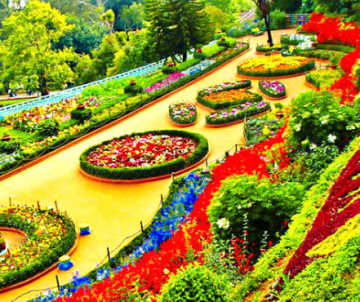 Family Getaway Wayanad Tour Package for 4 Days 3 Nights from Bangalore