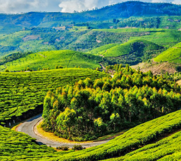 Heart-warming 6 Days Bangalore, Coorg, Wayanad with Ooty Trip Package