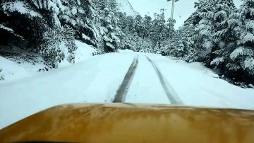 Experience Lachung To Gangtok Via Yumthang Valley Tour Package for 5 Days 4 Nights from BAGDOGRA OR NJP RAILWAY STATION