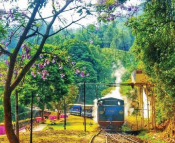 Best Bangalore Tour Package for 2 Days 1 Night from Ooty
