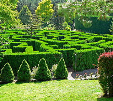 Beautiful 3 Days 2 Nights Bangalore and Ooty Vacation Package