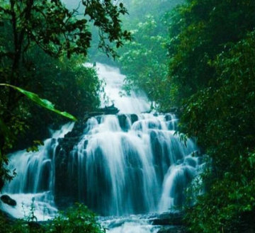 Family Getaway 3 Days Bangalore and Wayanad Tour Package