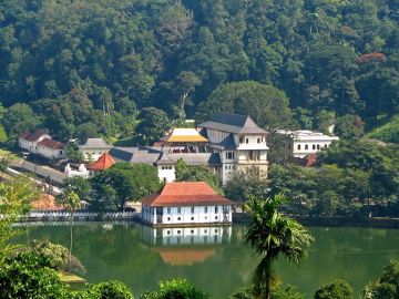 8 Days 7 Nights Kandy, Nuwara Eliya, Bentota and Colombo Tour Package