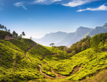 Experience 4 Days 3 Nights ooty Holiday Package