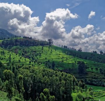 Family Getaway 4 Days 3 Nights Bangalore, Ooty and Coonoor Trip Package