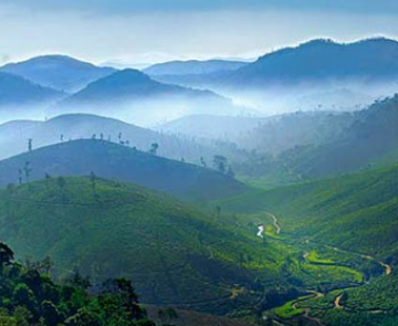 Experience 6 Days 5 Nights Bangalore, Coorg, Wayanad with Ooty Trip Package
