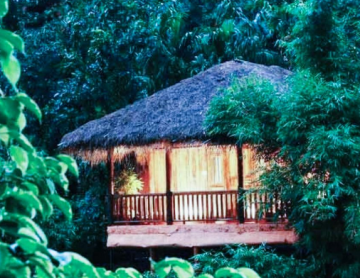 Experience Coonoor Tour Package for 5 Days