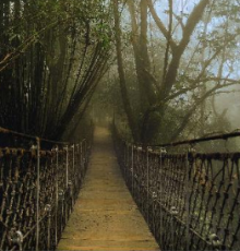 Experience Coonoor Tour Package for 5 Days