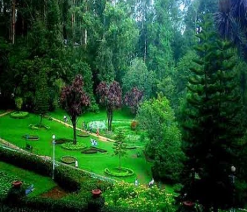 2 Days 1 Night Bangalore with Coonoor Vacation Package