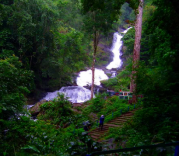 Magical 4 Days Bangalore, Ooty and Coonoor Holiday Package