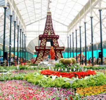 Experience Mysore Tour Package from Bangalore