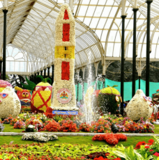 Experience Mysore Tour Package from Bangalore