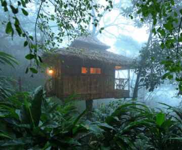 5 Days 4 Nights Bangalore, Coorg, Ooty with Coonoor Vacation Package