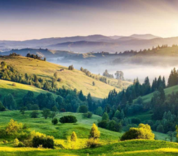 Magical Bangalore Tour Package for 2 Days 1 Night from Ooty