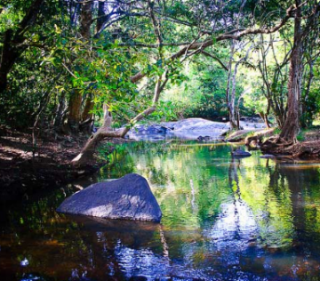 Magical 4 Days 3 Nights Bangalore, Coorg and Ooty Trip Package