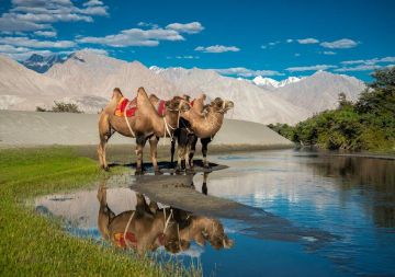 Ecstatic 7 Days Leh, Hunder, Nubra with Pangong Lake Trip Package