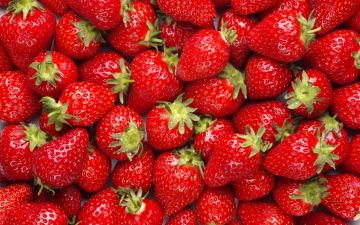 Best 3 Days 2 Nights Mahabaleshwar Weekend Getaways Vacation Package