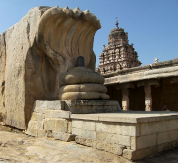 Ecstatic Coonoor Tour Package for 3 Days from Bangalore