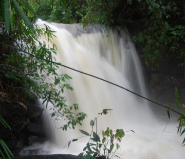 Family Getaway 5 Days Bangalore to Coonoor Holiday Package