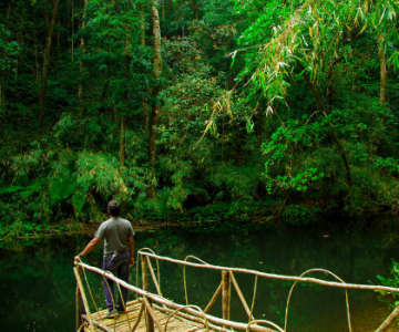 Family Getaway 5 Days Bangalore to Coonoor Holiday Package