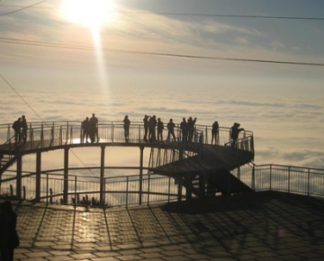 Heart-warming 2 Days Bangalore with Coonoor Tour Package