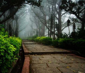 Pleasurable 3 Days 2 Nights Coonoor Tour Package