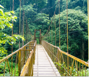 Heart-warming 4 Days 3 Nights Coonoor Vacation Package