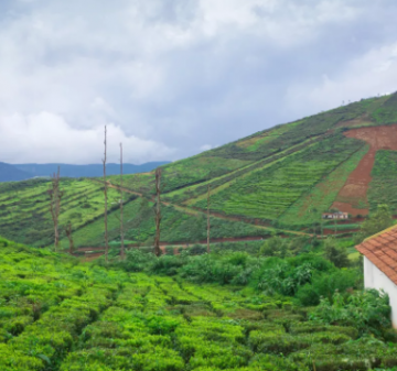 Experience 2 Days 1 Night Bangalore Vacation Package