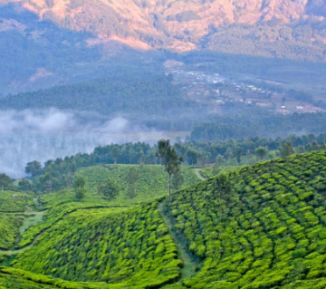 Experience 2 Days 1 Night Bangalore Vacation Package