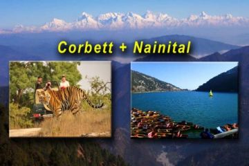 Memorable 4 Days Corbett Jeep Safri  Transfer To Nainita 70 Km Approximately  25 Hrs Trip Package