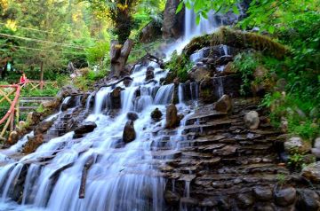 Beautiful Dehradun To Mussoorie 35 Km Approximately 15 Hrs Tour Package for 4 Days 3 Nights