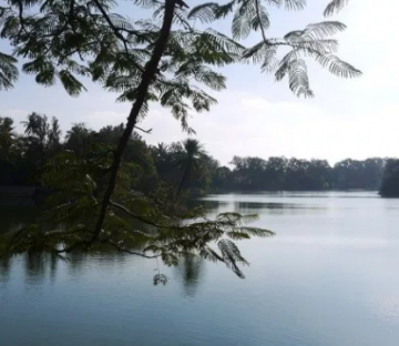 Family Getaway 5 Days 4 Nights Ooty Trip Package