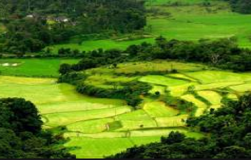 Ladies Special Bangalore Tour In Budget for 3N/4D