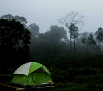 Ladies Special Bangalore Tour In Budget for 3N/4D