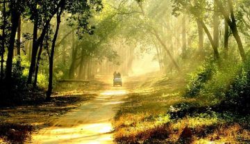 Ecstatic Nainital  Ranikhet - Nainital Tour Package for 6 Days from Corbett - Nainital 70 Km Approximately  3 Hrs