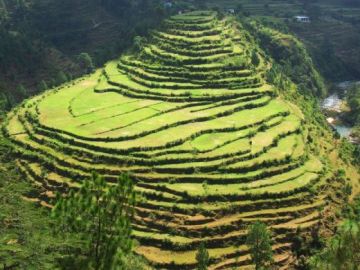 Ecstatic Nainital  Ranikhet - Nainital Tour Package for 6 Days from Corbett - Nainital 70 Km Approximately  3 Hrs