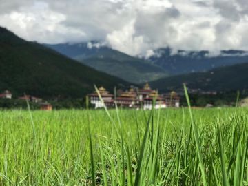 Best 4 Days 3 Nights Paro Taktshang Hike  4-6 Hours  Tour Package