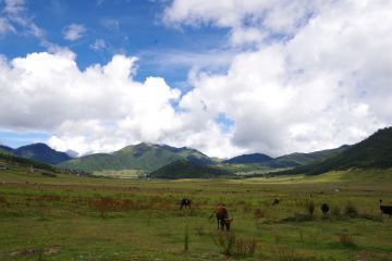 Amazing 8 Days 7 Nights Thimphu Tour Package