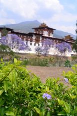 Amazing 8 Days 7 Nights Thimphu Tour Package