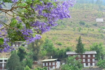 Amazing 8 Days 7 Nights Thimphu Tour Package