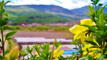 Memorable 7 Days Paro to Thimphu Holiday Package