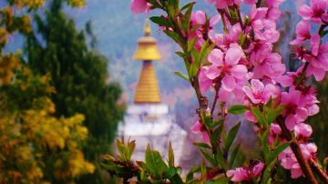 Memorable 7 Days Paro to Thimphu Holiday Package