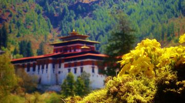 Memorable 7 Days Paro to Thimphu Holiday Package