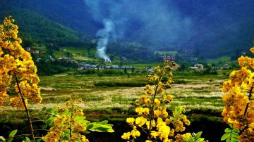 Memorable 7 Days Paro to Thimphu Holiday Package