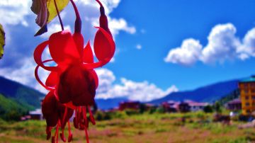 Memorable 7 Days Paro to Thimphu Holiday Package