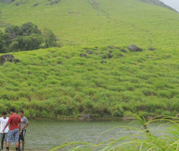 Ecstatic Wayanad Tour Package for 2 Days