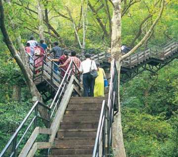 Magical Ooty Tour Package for 5 Days